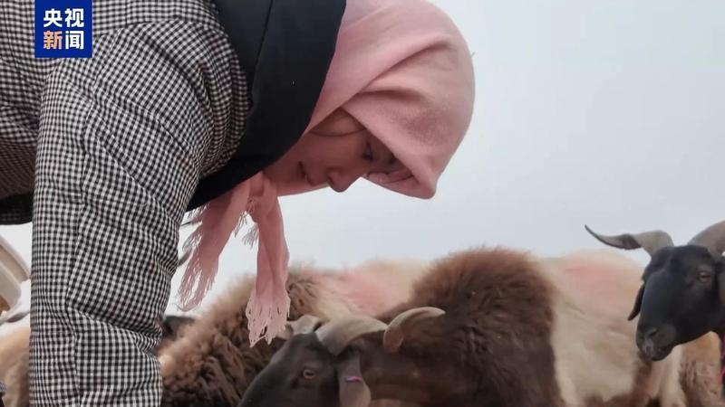  新春走基层丨下山借牧还交上了朋友 这趟“冬牧”值了 新闻 新春走基层丨下山借牧还交上了朋友 这趟“冬牧”值了 新闻 新春走基层丨下山借牧还交上了朋友 这趟“冬牧”值了 新闻