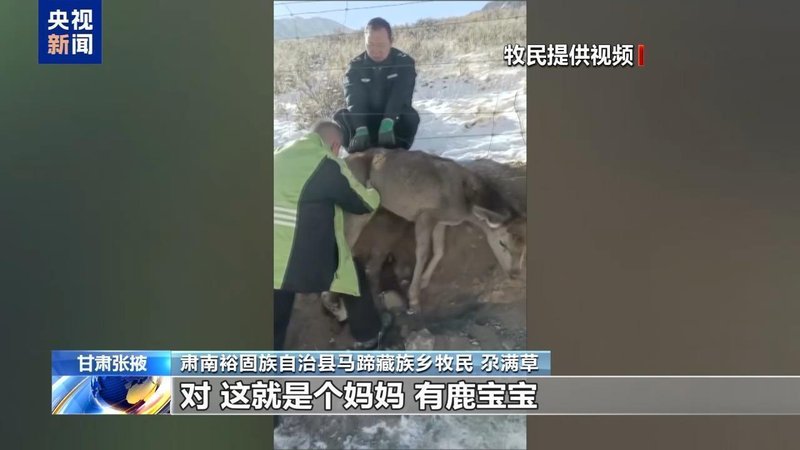  新春走基层丨下山借牧还交上了朋友 这趟“冬牧”值了 新闻 新春走基层丨下山借牧还交上了朋友 这趟“冬牧”值了 新闻 新春走基层丨下山借牧还交上了朋友 这趟“冬牧”值了 新闻