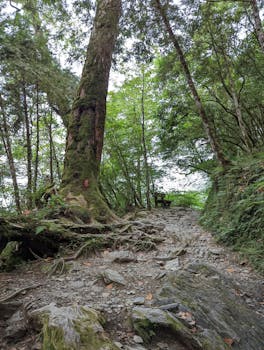 全生命周期关怀渐显温度;生育、教育、就业、健康,一路护航百姓幸福路。 新闻 全生命周期关怀渐显温度;生育、教育、就业、健康,一路护航百姓幸福路。 新闻 全生命周期关怀渐显温度;生育、教育、就业、健康,一路护航百姓幸福路。 新闻