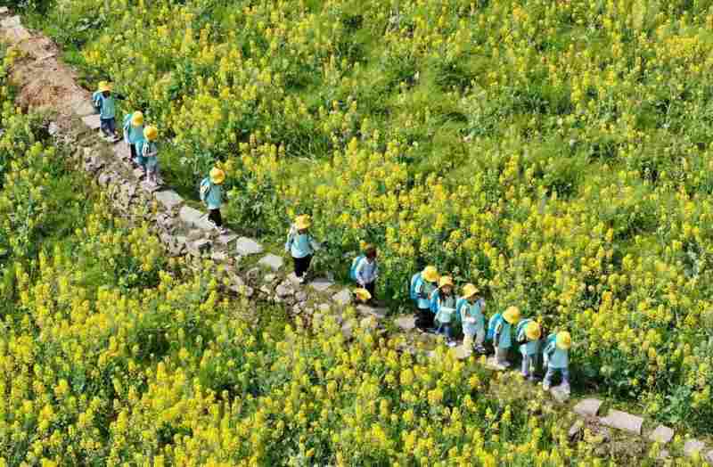  春季学期新变化，各地中小学春假时间揭晓；专家解读成长益处。 教育招生