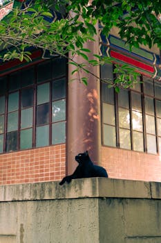  中东风暴来袭，特朗普决策引发波澜。伊朗领袖之死与能源危机 新闻 中东风暴来袭，特朗普决策引发波澜。伊朗领袖之死与能源危机 新闻