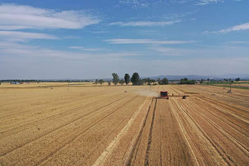 雪中信封,传递丰收希望;种子交换,见证种业深耕。 新闻 雪中信封,传递丰收希望;种子交换,见证种业深耕。 新闻 雪中信封,传递丰收希望;种子交换,见证种业深耕。 新闻 雪中信封,传递丰收希望;种子交换,见证种业深耕。 新闻 雪中信封,传递丰收希望;种子交换,见证种业深耕。 新闻