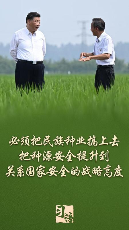 一粒种子,承载总书记深切牵挂;高德荣的故事,映照种业振兴之路。 新闻 一粒种子,承载总书记深切牵挂;高德荣的故事,映照种业振兴之路。 新闻 一粒种子,承载总书记深切牵挂;高德荣的故事,映照种业振兴之路。 新闻 一粒种子,承载总书记深切牵挂;高德荣的故事,映照种业振兴之路。 新闻