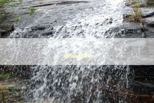 美元走强金价震荡 新闻