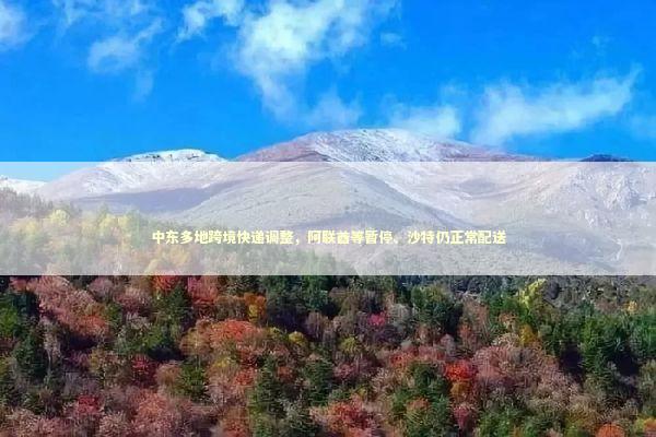 中东多地跨境快递调整，阿联酋等暂停、沙特仍正常配送 新闻