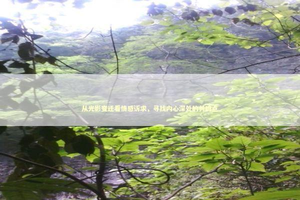 从光影变迁看情感诉求，寻找内心深处的共鸣点 影视小说