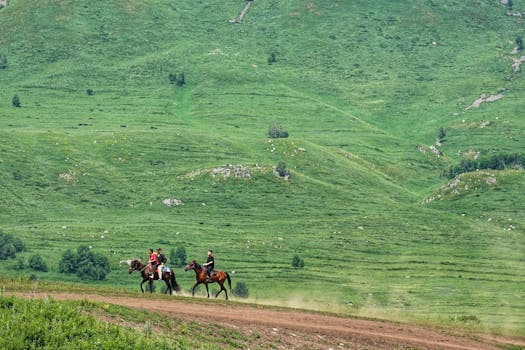 鹏都农牧(002505)股民索赔再获法院立案,新智认知(603869)索赔案已有胜诉 新闻