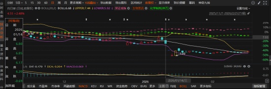 向日葵重组“画饼”遭重罚！证监会认定误导性陈述，受损股民速看 新闻