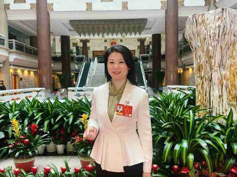  从人民大会堂到基层一线；新大众文艺绽放民间活力。文化创新迎来新格局。 文化旅游