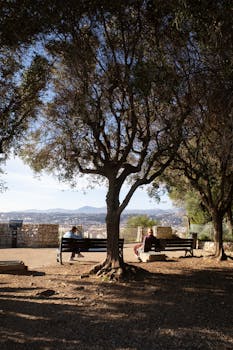 行业承压之际,安海斯-布希英博如何突出重围。 股票财经 行业承压之际,安海斯-布希英博如何突出重围。 股票财经