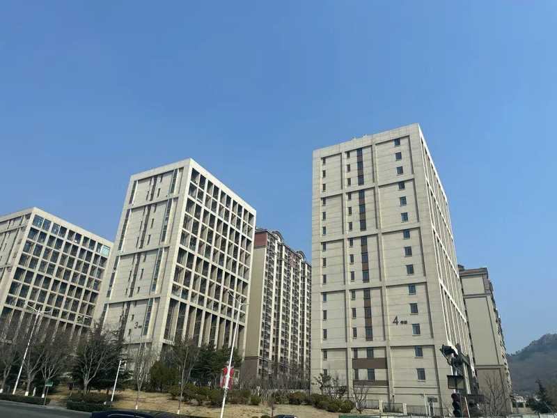 青岛地产人才迁徙图谱：行业重构期的职业生态深度解码