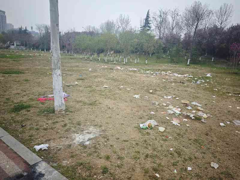  露营经济产业链深度拆解：临沂样本的爆发逻辑与治理挑战 新闻