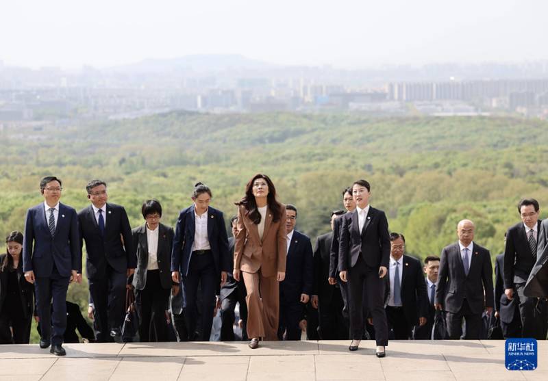  技术视角解析：郑丽文大陆行背后的历史脉络与共识机制 新闻 技术视角解析：郑丽文大陆行背后的历史脉络与共识机制 新闻