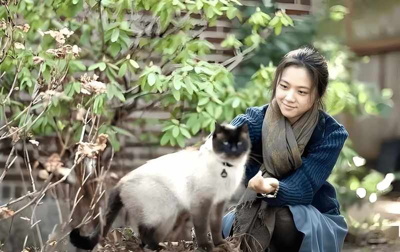  【深度长文】十二年跨国婚姻解码：汤唯与金泰勇的情感运营系统 娱乐新闻