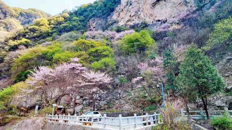  红河谷春日生态深度观察：一份来自山谷的自然观察笔记 文化旅游