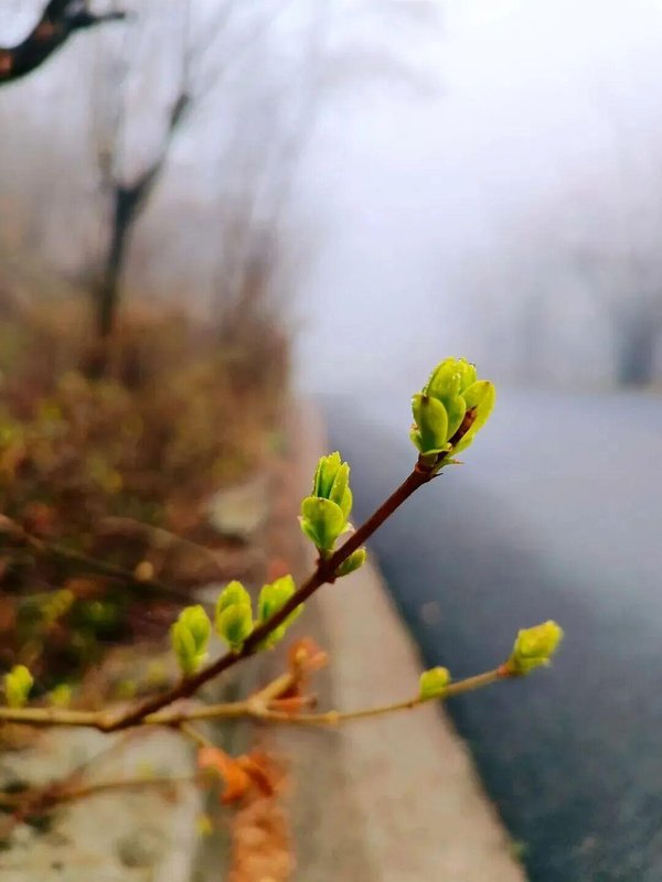  红河谷春日生态深度观察：一份来自山谷的自然观察笔记 文化旅游