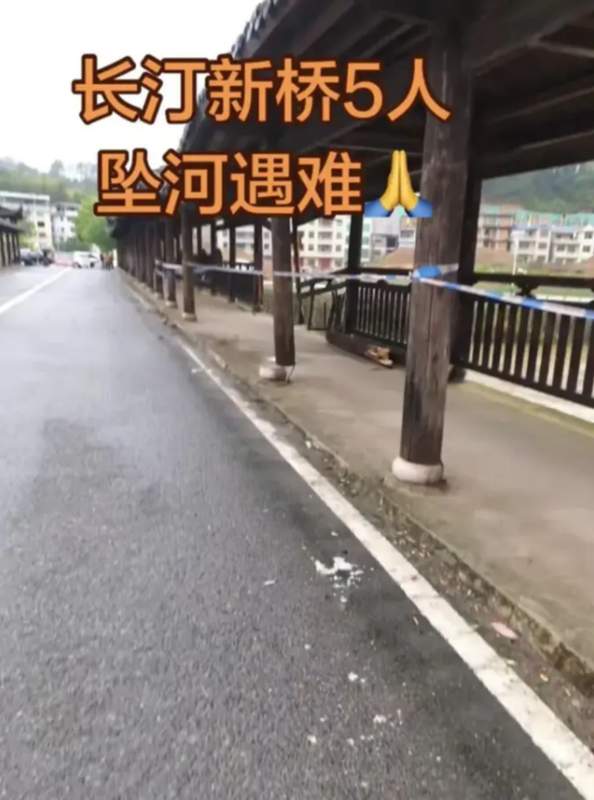  【技术深度】暴雨夜新手驾驶：五个致命环节如何叠加成一场灭门惨剧 新闻