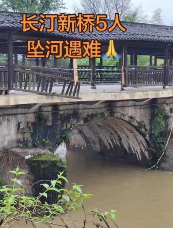  【技术深度】暴雨夜新手驾驶：五个致命环节如何叠加成一场灭门惨剧 新闻