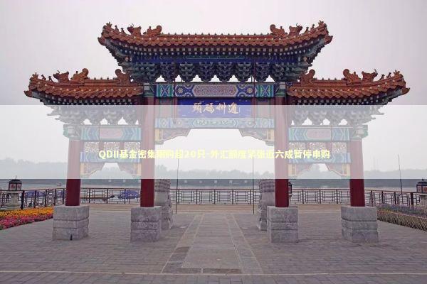 QDII基金密集限购超20只-外汇额度紧张近六成暂停申购 新闻