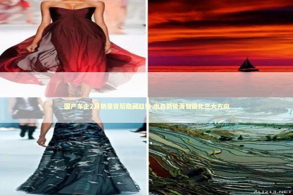 国产车企2月销量背后隐藏趋势 出口新能源智能化三大方向 国产车企2月销量背后隐藏趋势 出口新能源智能化三大方向 新闻