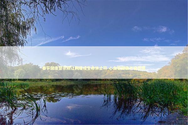 春节健康警示别让胸痛成生命休止符 心血管健康不容忽视 新闻