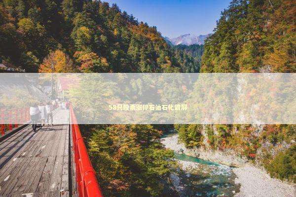 58只股票涨停石油石化霸屏 新闻