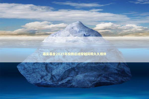 嘉实基金2025年投教总结穿越周期久久相伴 新闻