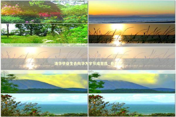 清华毕业生去向华为字节成首选_悬念型 新闻