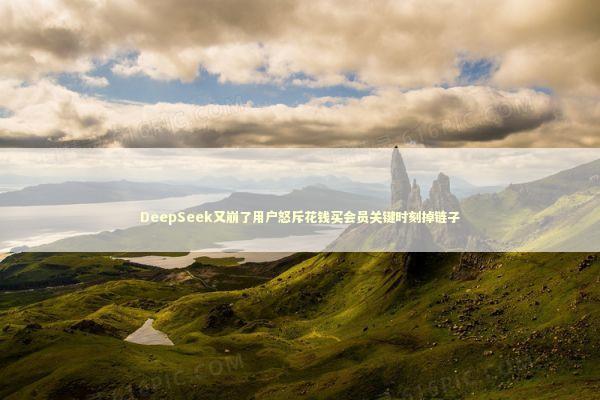 DeepSeek又崩了用户怒斥花钱买会员关键时刻掉链子 DeepSeek又崩了用户怒斥花钱买会员关键时刻掉链子 新闻