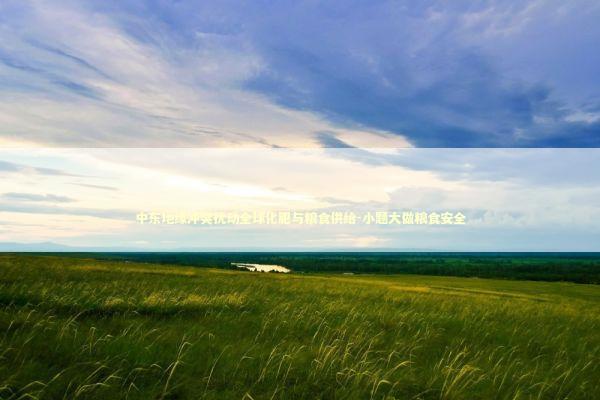 中东地缘冲突扰动全球化肥与粮食供给-小题大做粮食安全 中东地缘冲突扰动全球化肥与粮食供给-小题大做粮食安全 新闻