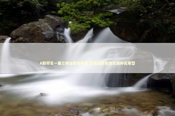 A股罕见一幕三桶油集体收涨-三桶油历史首次涨停实用型 新闻