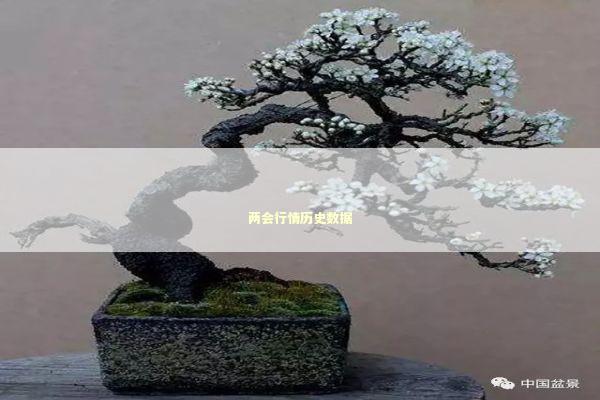 两会行情历史数据 新闻