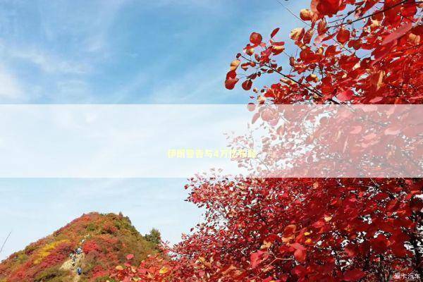 伊朗警告与4万亿布局 新闻