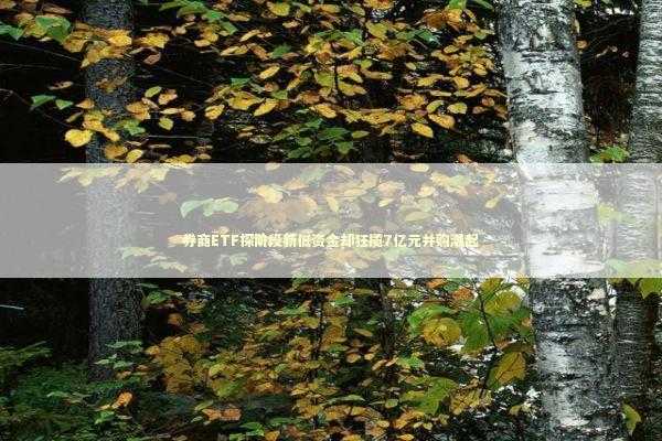 券商ETF探阶段新低资金却狂揽7亿元并购潮起 券商ETF探阶段新低资金却狂揽7亿元并购潮起 新闻