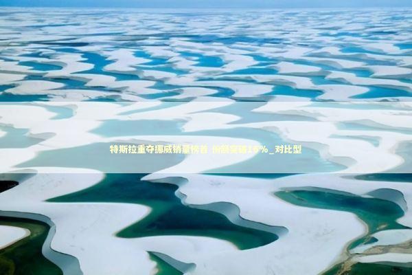 特斯拉重夺挪威销量榜首 份额突破16%_对比型 新闻