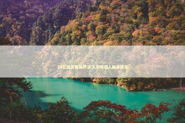 25亿国资集体押注 人形机器人融资爆发 新闻