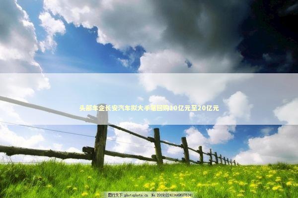 头部车企长安汽车拟大手笔回购10亿元至20亿元 新闻