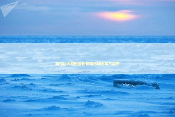 英伟达大跌财报超预期市场为啥不买账 新闻