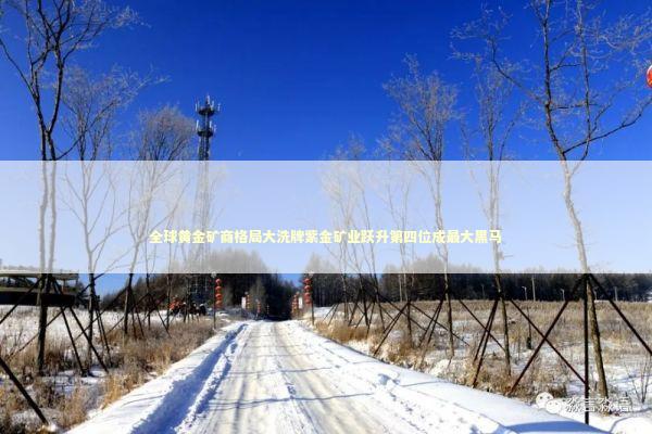 全球黄金矿商格局大洗牌紫金矿业跃升第四位成最大黑马 全球黄金矿商格局大洗牌紫金矿业跃升第四位成最大黑马 新闻