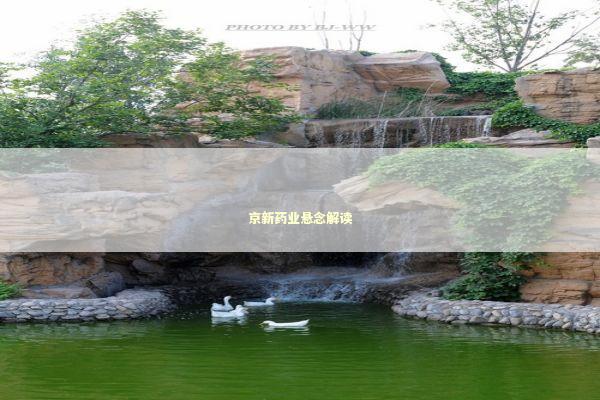 京新药业悬念解读 新闻