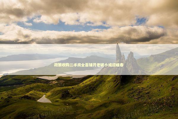 政策收购二手房全面铺开老破小或迎暖春 政策收购二手房全面铺开老破小或迎暖春 新闻