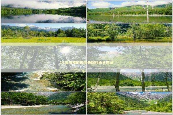 19省份提前批债务限额重点速览 19省份提前批债务限额重点速览 新闻