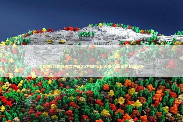 比亚迪2月销量首次跌破20万辆 同比大降41%国内销量承压 比亚迪2月销量首次跌破20万辆 同比大降41%国内销量承压 新闻