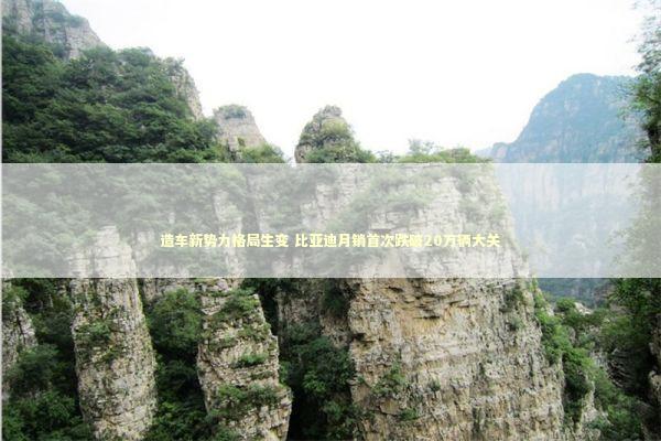 造车新势力格局生变 比亚迪月销首次跌破20万辆大关 造车新势力格局生变 比亚迪月销首次跌破20万辆大关 新闻