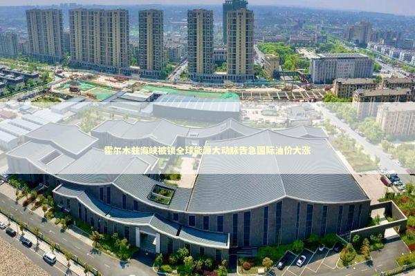 霍尔木兹海峡被锁全球能源大动脉告急国际油价大涨 霍尔木兹海峡被锁全球能源大动脉告急国际油价大涨 新闻