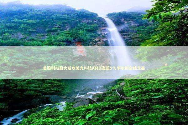 美股科技股大反攻美光科技AMD涨超5%华尔街全线走高 新闻