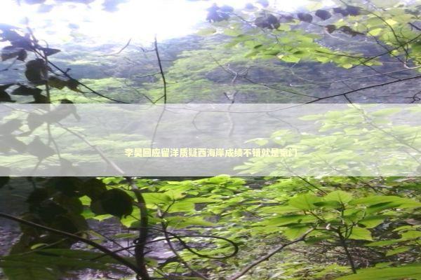 李昊回应留洋质疑西海岸成绩不错就是豪门 新闻