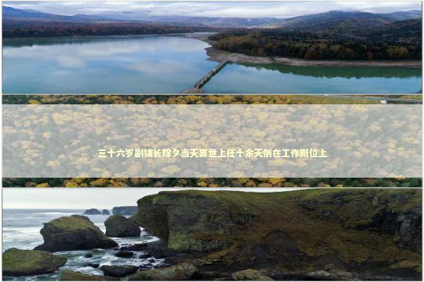 三十六岁副镇长除夕当天离世上任十余天倒在工作岗位上 新闻