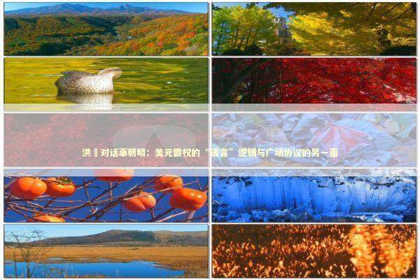 洪灝对话辜朝明：美元霸权的“语言”逻辑与广场协议的另一面 新闻