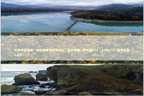 农发种业涨停！农牧渔板块逆市狂拉，全市场唯一农牧渔ETF（159275）盘中大涨1.5%！ 新闻